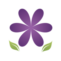 Spring Insight Marketing, LLC logo