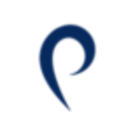 Pinnacle Webs logo