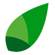 A fresh leaf. logo