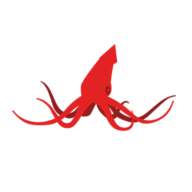Red Squid logo