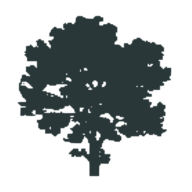 Mapleton Hill logo