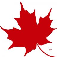 Red Leaf Maple Marketing logo