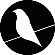 brandch logo