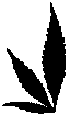 Cannabrand logo