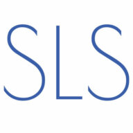 SLS Digital Consulting logo