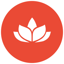 Health Samurai logo