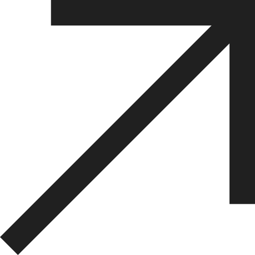 Ryan James Agency Digital Marketing logo