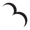 Rare Bird, Inc. logo