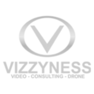 Vizzyness logo