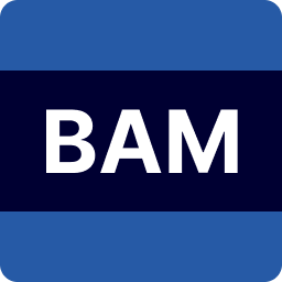 BAM Technologies logo