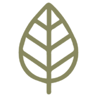 The AD Leaf logo