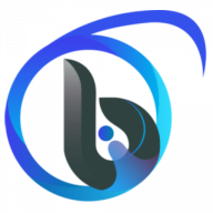 Business Shaper Group Corp logo