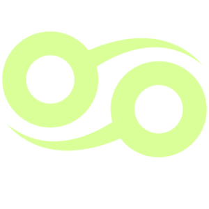 Capture Essence Tech logo