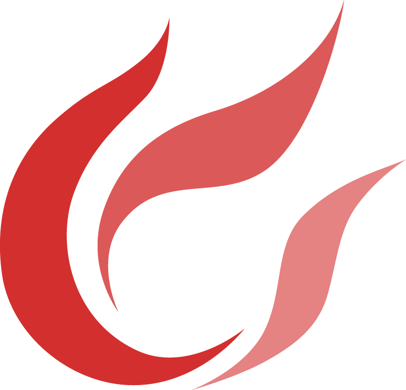Searching Fever Digital Marketing logo