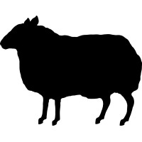 Bartle Bogle Hegarty logo
