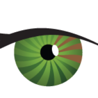 Right Eye Digital logo