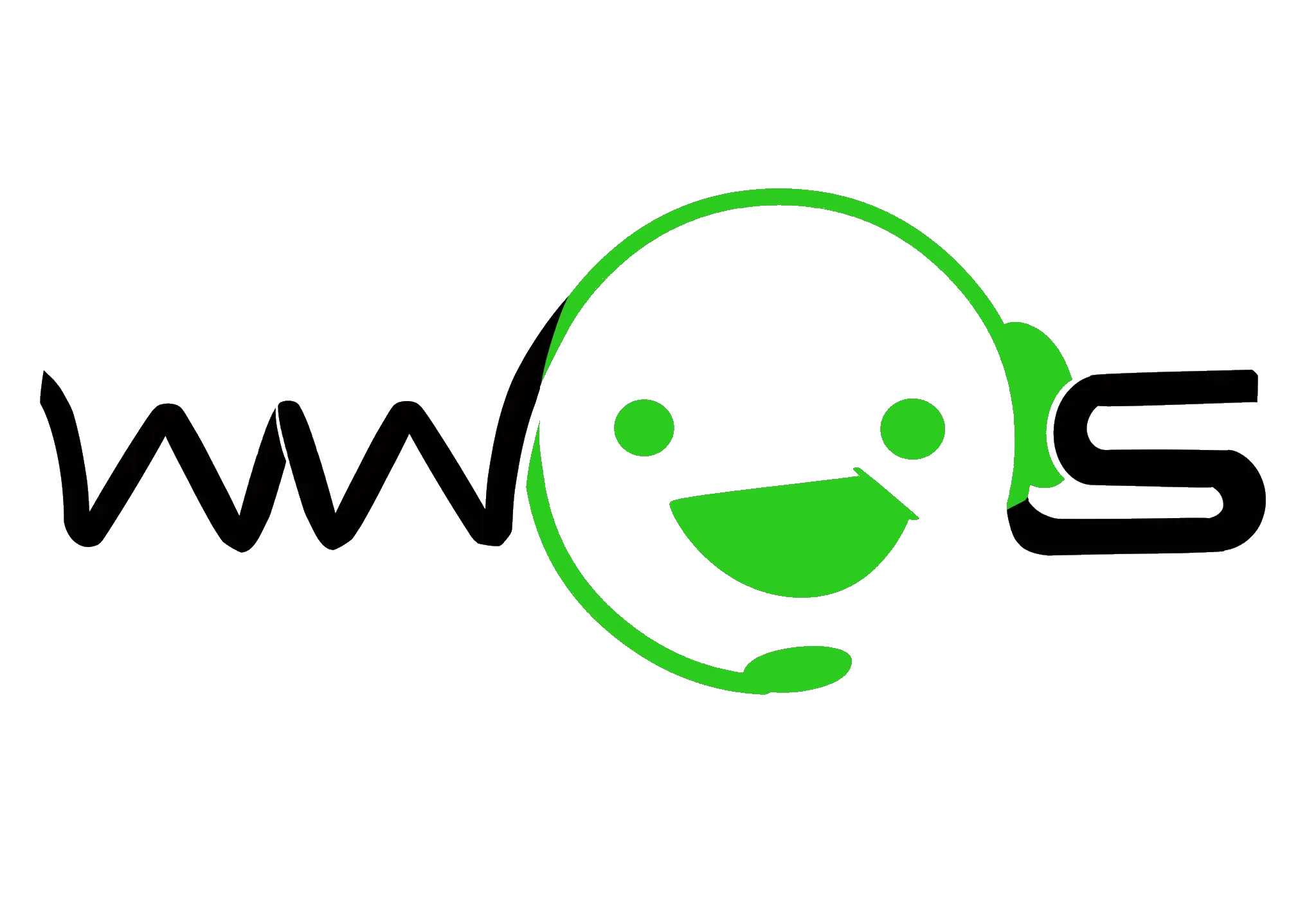 World Wide Outsource Solutions LLC logo