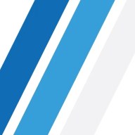 Alpyne Strategy, LLC logo