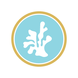 Anntoine Marketing + Design logo