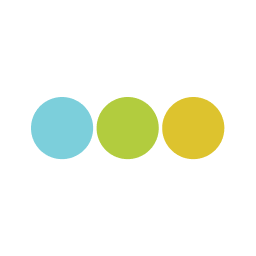 Parsus Solutions, LLC logo