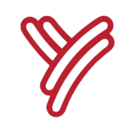 Young's Web Designs logo