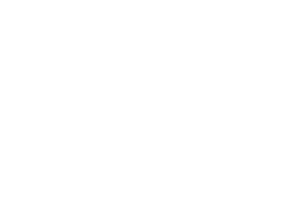 RGI Data Assets logo