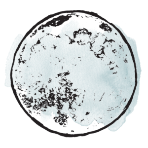 Lunar Digital Marketing logo