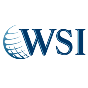 WSI - MaxNet Solutions Inc. logo