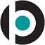 Bridge Philanthropic Consulting logo