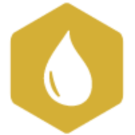 Fidelis Creative Agency logo