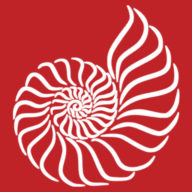 Centriciti LLC logo