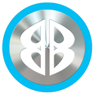 Barcelona Enterprises logo