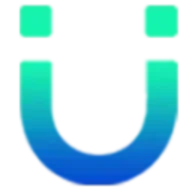 Udaipur Web Designer logo