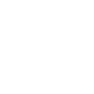 Steadynamic logo