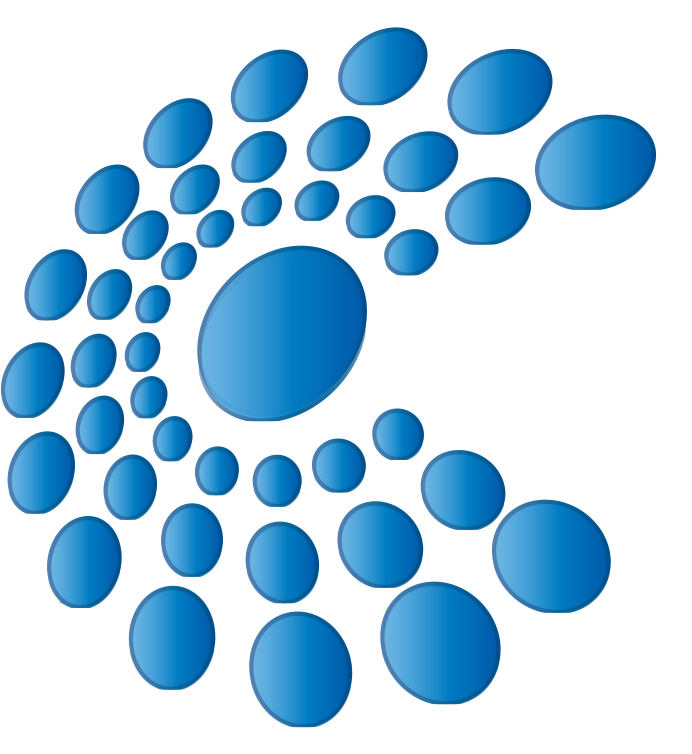 Capitis Media logo