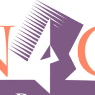 Pinnacle Communications logo