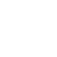 Orangelephant Society LLC logo