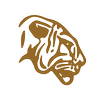 Studio Delger logo