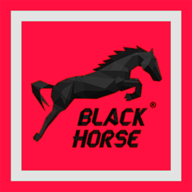 Black Horse Agency logo
