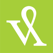 Visible Logic logo
