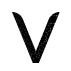 Veido logo