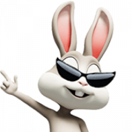 White Rabbit Marketing logo
