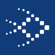 Big Fish logo