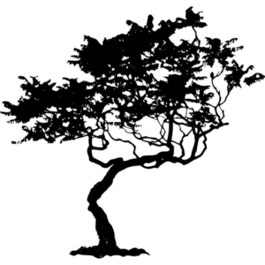 Tulip Tree Studios logo