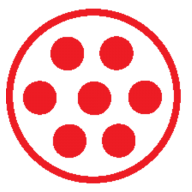 DigitalWires Inc. logo