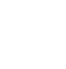 Savvy Programmers logo