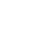 DANGEROUS DESIGN STUDIO LLC. logo