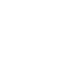 Disruptive Digital logo