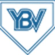 Your Brand Voice Inc. logo