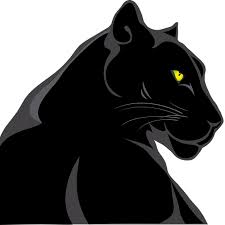 Panther Digital Marketing logo